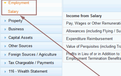 Salary income